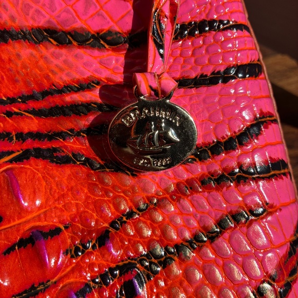 Brahmin Pink Feline Ombre Melbourne - Picture 6 of 7